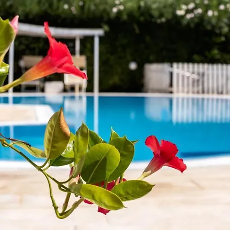 Aria Di Mare 3* מרינה די רגוזה