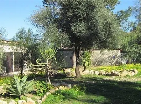 Aria Di Mare
